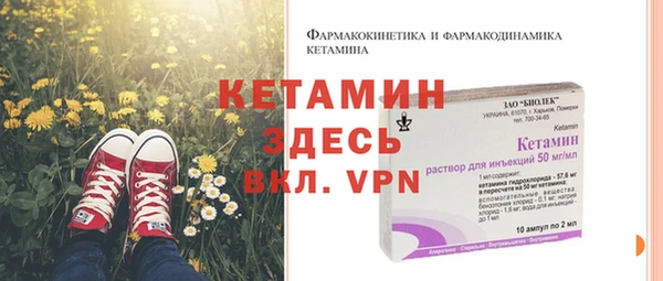индика Арсеньев