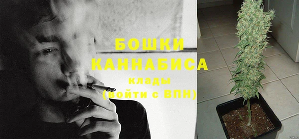 индика Арсеньев