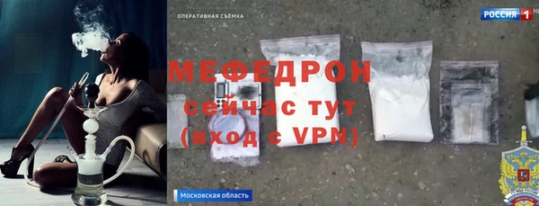 индика Арсеньев