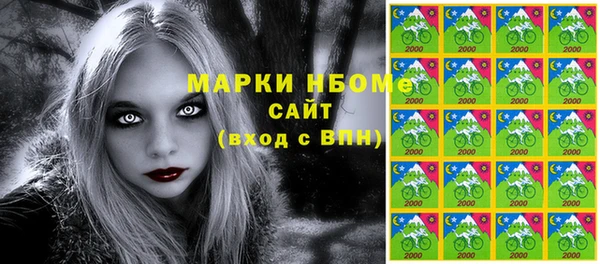индика Арсеньев