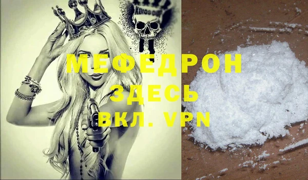 индика Арсеньев
