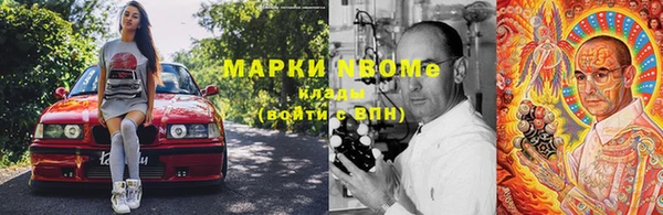 индика Арсеньев
