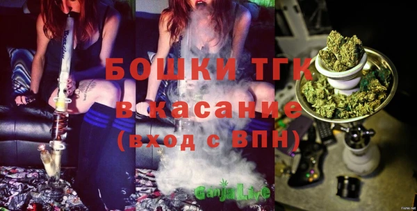 индика Арсеньев