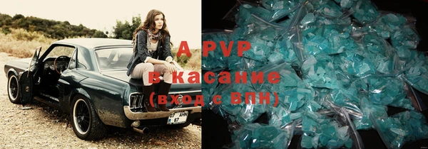 индика Арсеньев