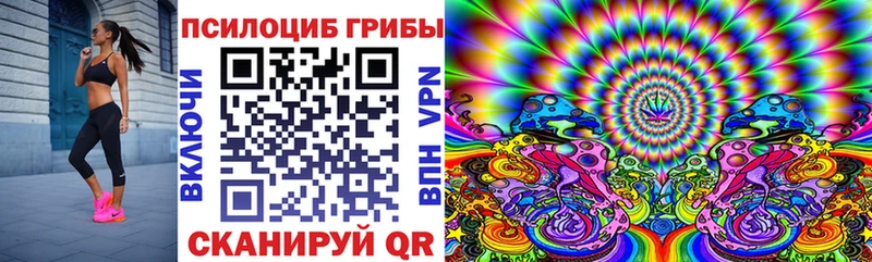 закладка  Вихоревка  Галлюциногенные грибы ЛСД 